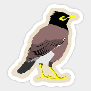 Common Myna Sticker